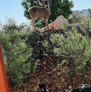 Meet your Posher, Michele